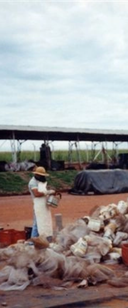 Reciclagem 1997 - Necessidade de uma Instituição