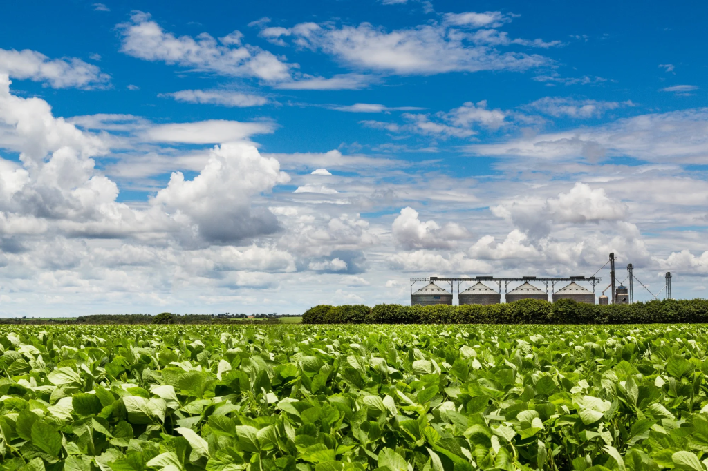 Diversidade agro